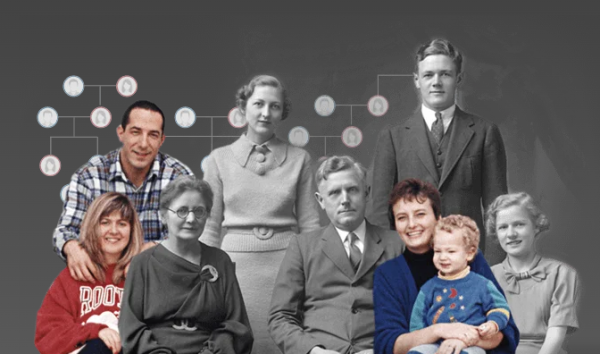 MyHeritage составить родословное древо