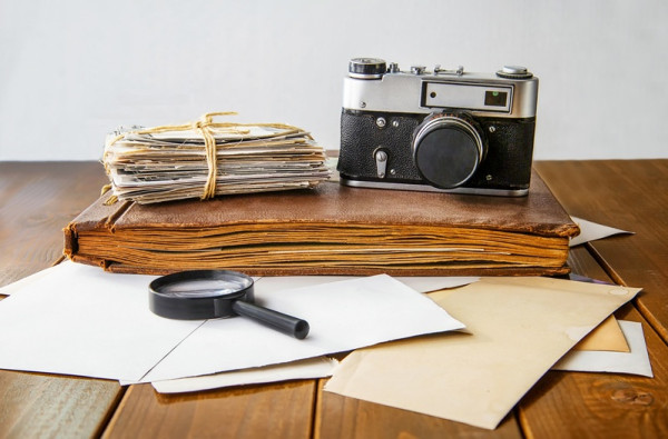 генеалогическое древо