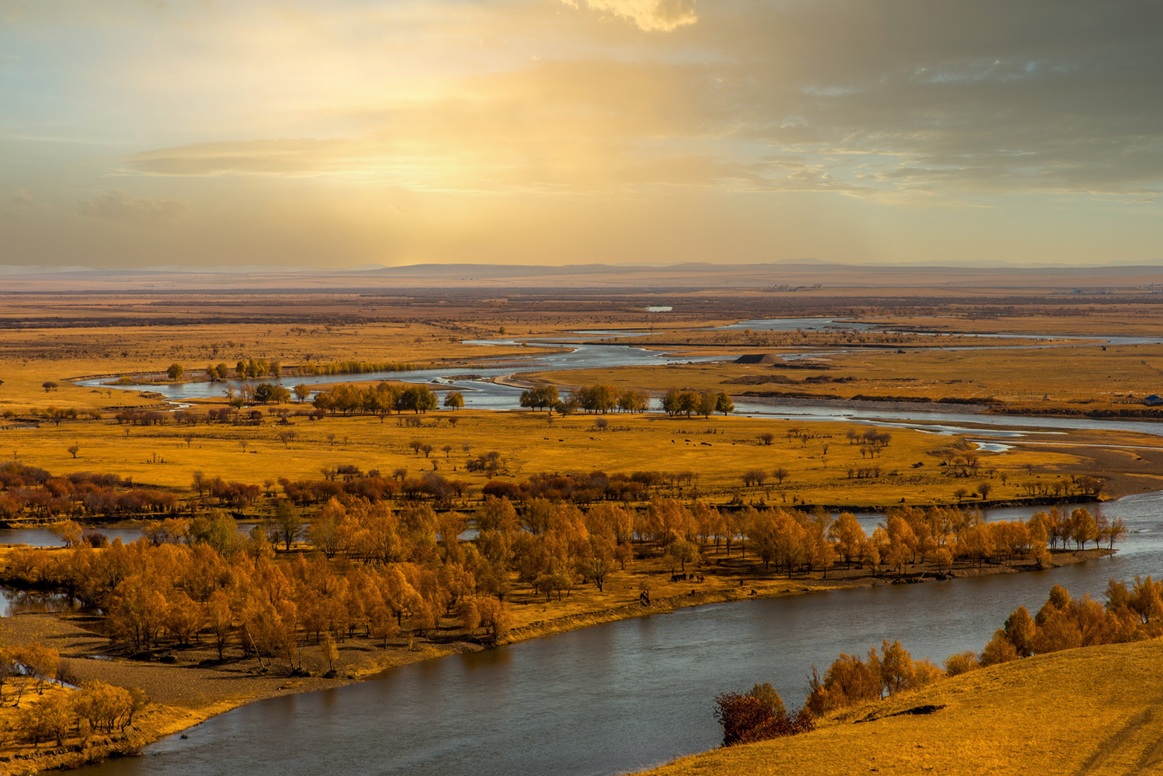 Генеалогическое исследование
